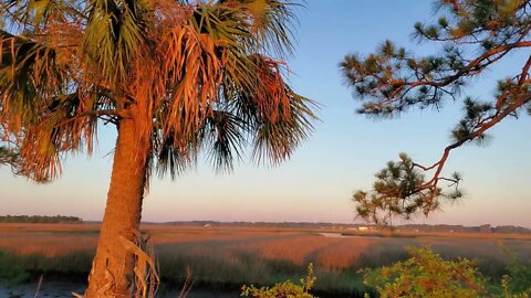 Palm Tree Sunrise Time-Lapse