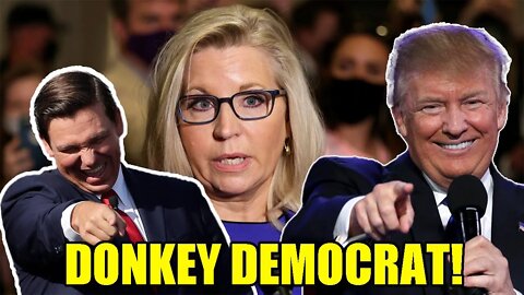 Liz Cheney ADMITS she is actually a DEMOCRAT and SLAMS Ron DeSantis! She is a DONKEY DEMOCRAT!