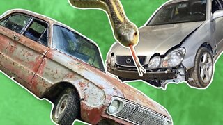 The Lexus GS400, Falcon frame swap are coming together... and MORE SNAKES!