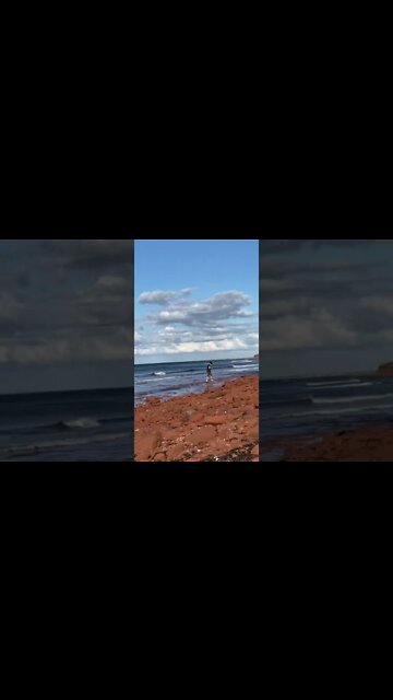 Looking for cool things on the beach