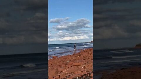 Looking for cool things on the beach