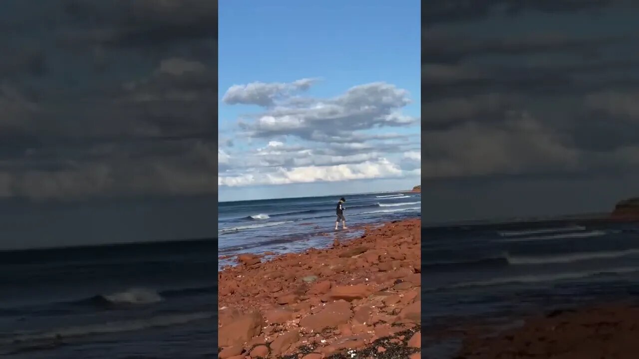 Looking for cool things on the beach