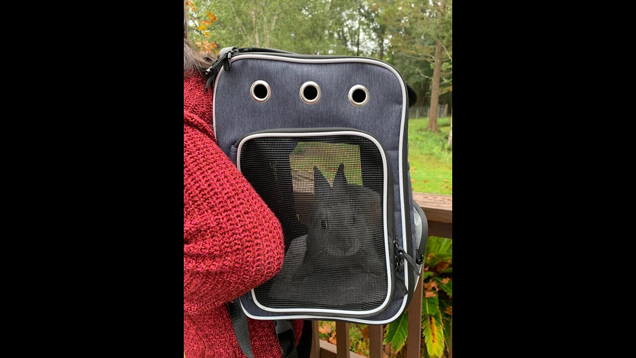 morpilot Dog Backpack Carrier, Foldable Cat Backpack Carrier for Small Cats and Dogs, Ventilate...