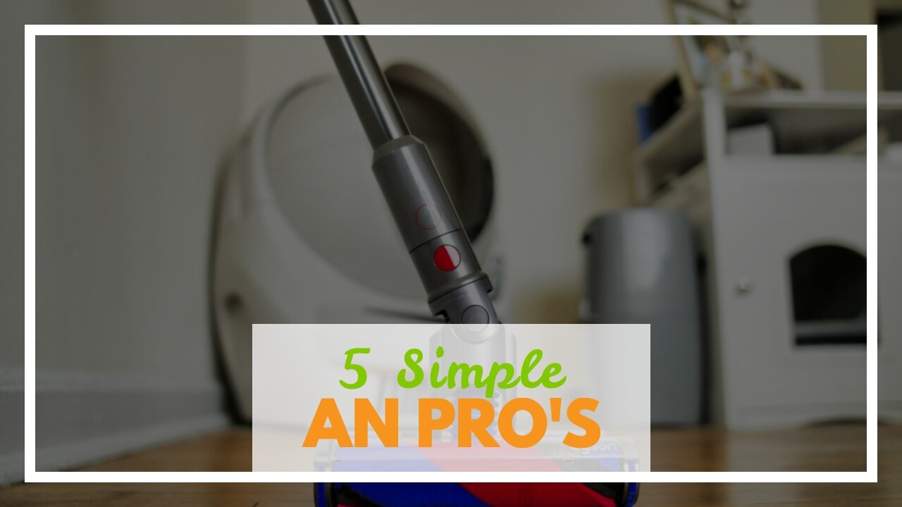 5 Simple Techniques For How to Choose the Right Dyson Animal Filter for Your Home