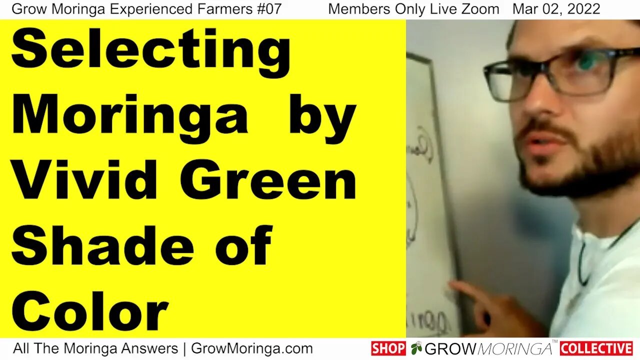 Selecting Moringa by Color