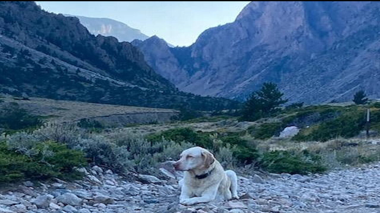 Clark Wyoming - Spending the Day Hiking to Bridal Veil Falls and Rescuing the Dog