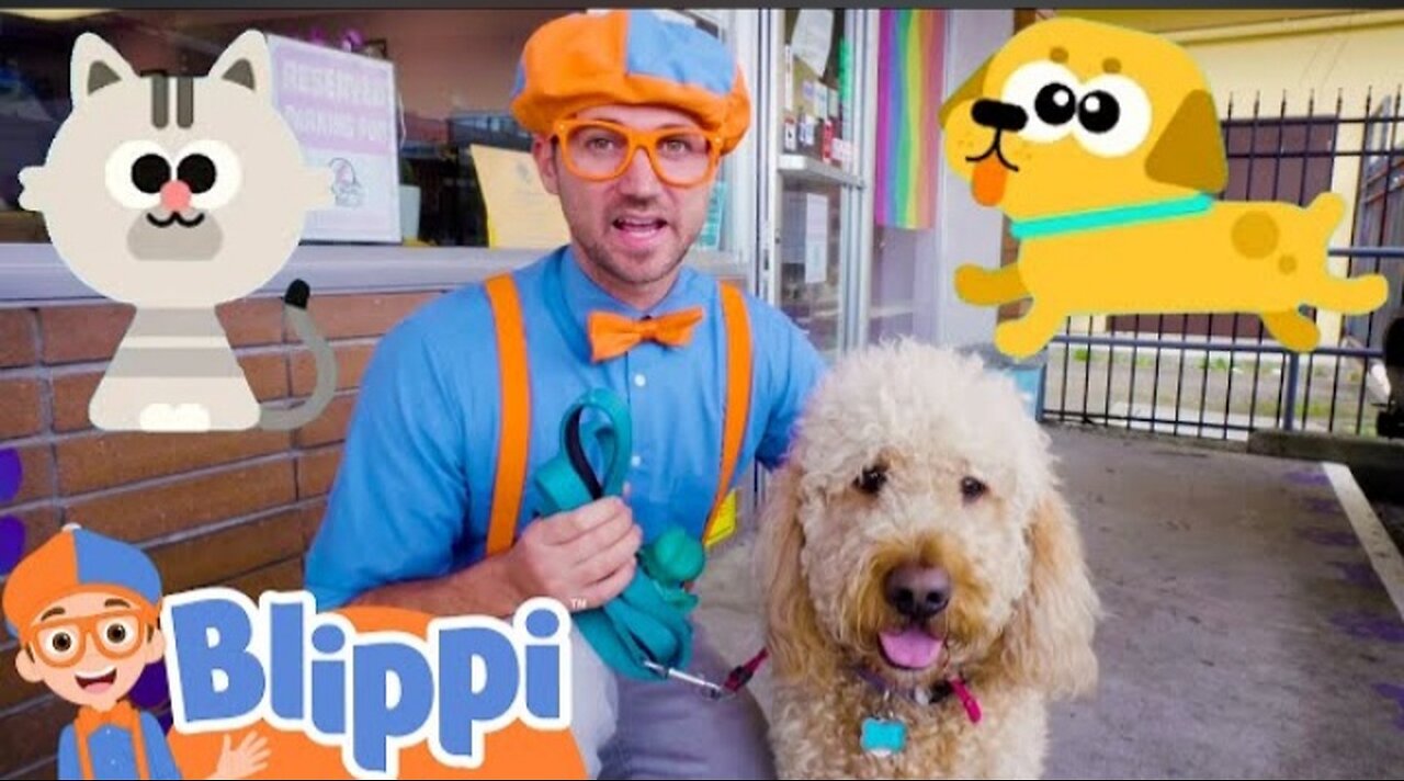 Blippi Cares For Pets At The Animal Shelter! Fun and Education videos for kids