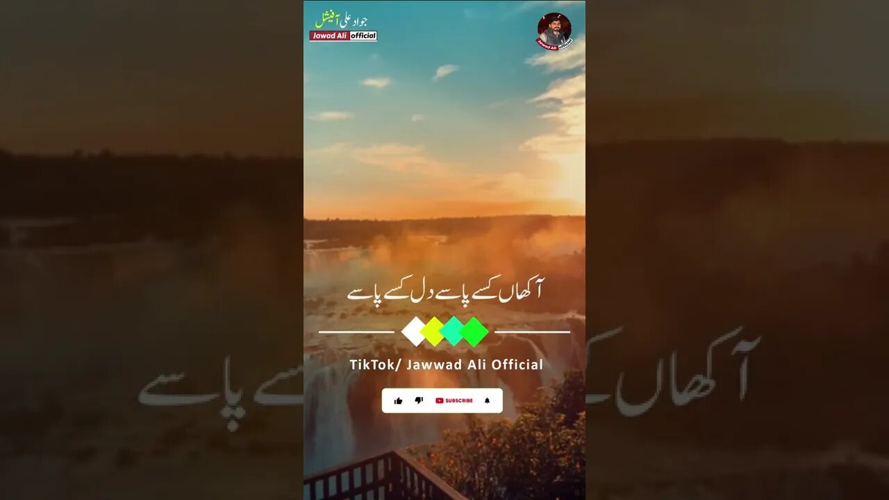 #shorts - Howay Sajjan Ty Tury Dushman Nal - Punjabi Poetry Whatsapp Status - Saraiki Shero Shayari