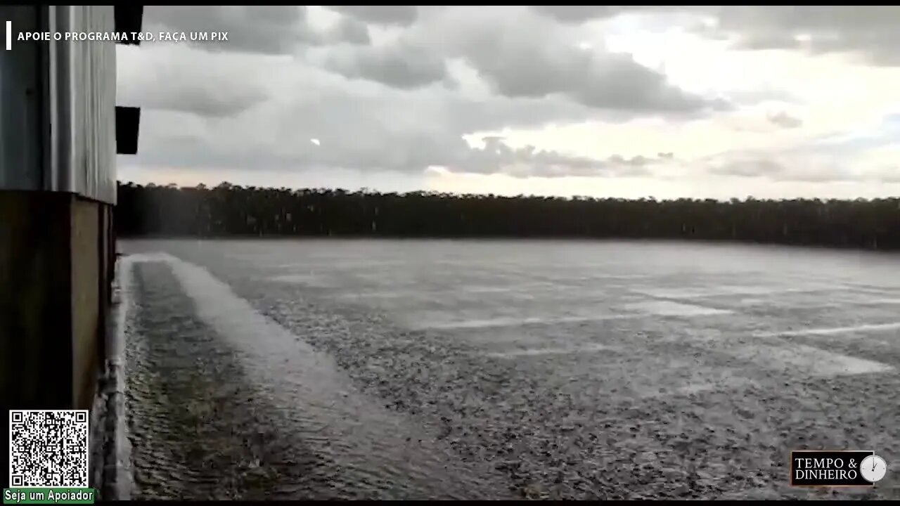 Chuva atinge cafezais de Araguari, MG.