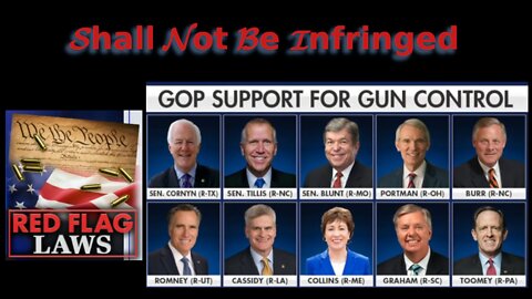 10 Traitorous Republicans Who Will Attempt To Invalidate The US Constitution Using Red Flag Laws.