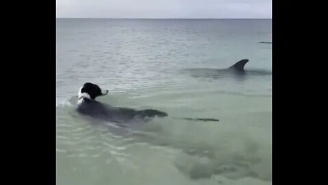 This is our now go get another one