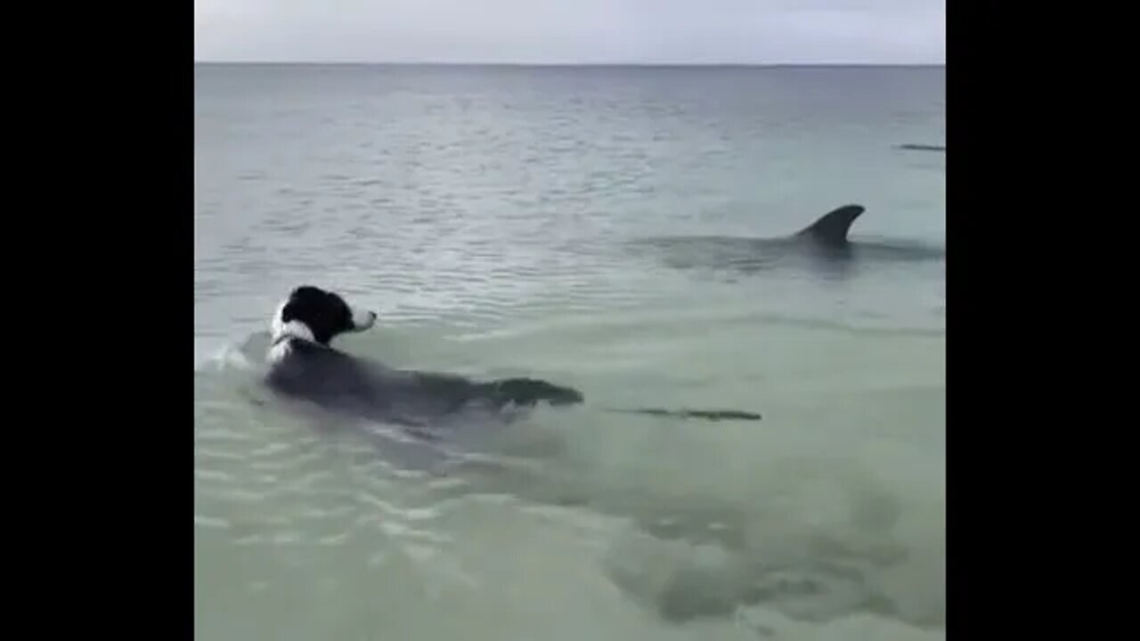 This is our now go get another one