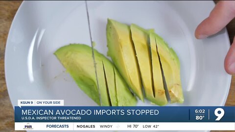 Avocado imports from Mexico on hold