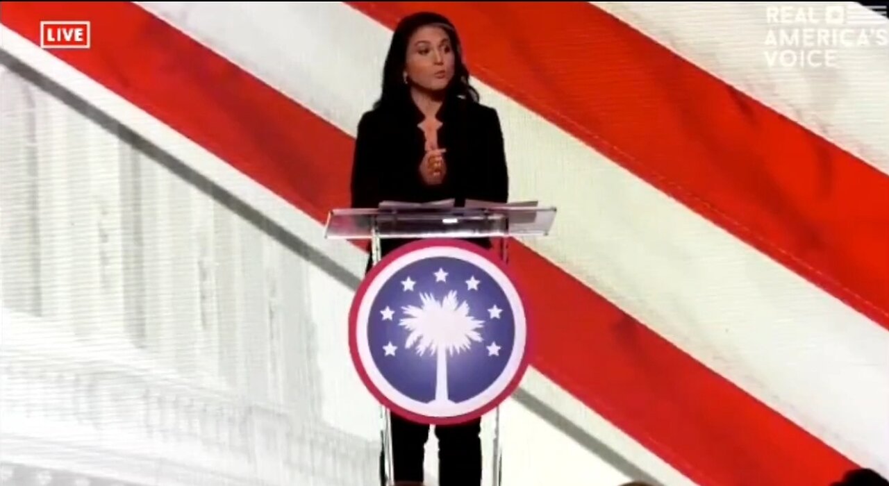 Tulsi Gabbard: How Can The Democrat Party Be Trusted With Our Republic?
