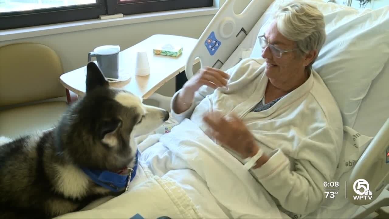 Pet therapy helps patients at Palm Beach Gardens Medical Center