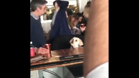 Watching 101 Dalmatians at a bar