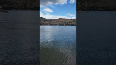 Paddlewheel Park & Beach #okanaganlake #vernonbc #britishcolumbia #canada #explore #adventure