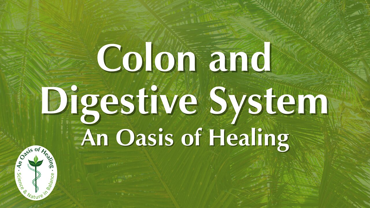 Colon and the Digestive System