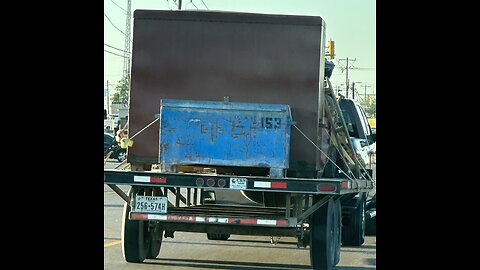 ❤️🎼❤️🦁😔🦁❤️🎼❤️