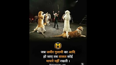 #motivation in #tiger of the #king #shortvideo in best #motivational #support and #subscribe