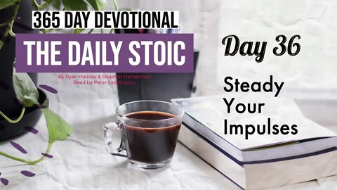 Steady Your Impulses - DAY 36 - The Daily Stoic 365 Day Devotional