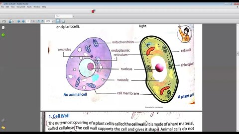 SCIENCE CLASS 6 6 4 2021