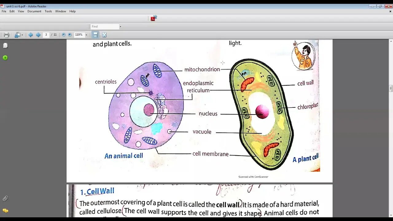 SCIENCE CLASS 6 6 4 2021
