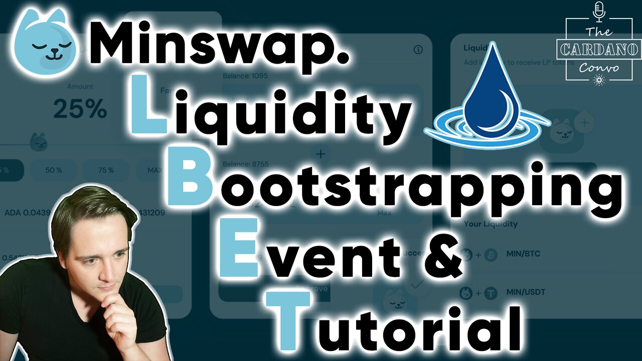 Minswap Meteor Liquidity Bootstrapping Event & Tutorial