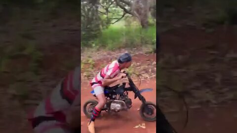 INCREVA POR FAVOR - ENTRETENIMENTO - SUBSCRIBE PLEASE - ENTERTAINMENT