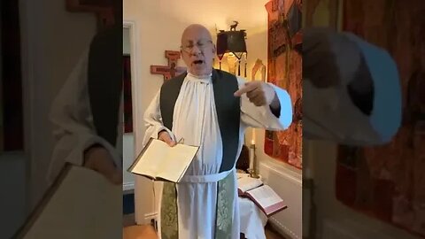 Fr. Stephen Imbarrato's Homily - Sun, July 23, 2023