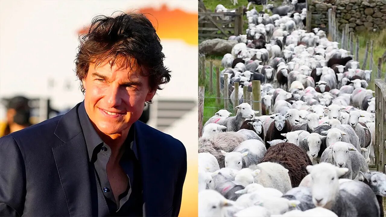 Tom Cruise's 'Mission: Impossible 8' set interrupted by a flock of sheep