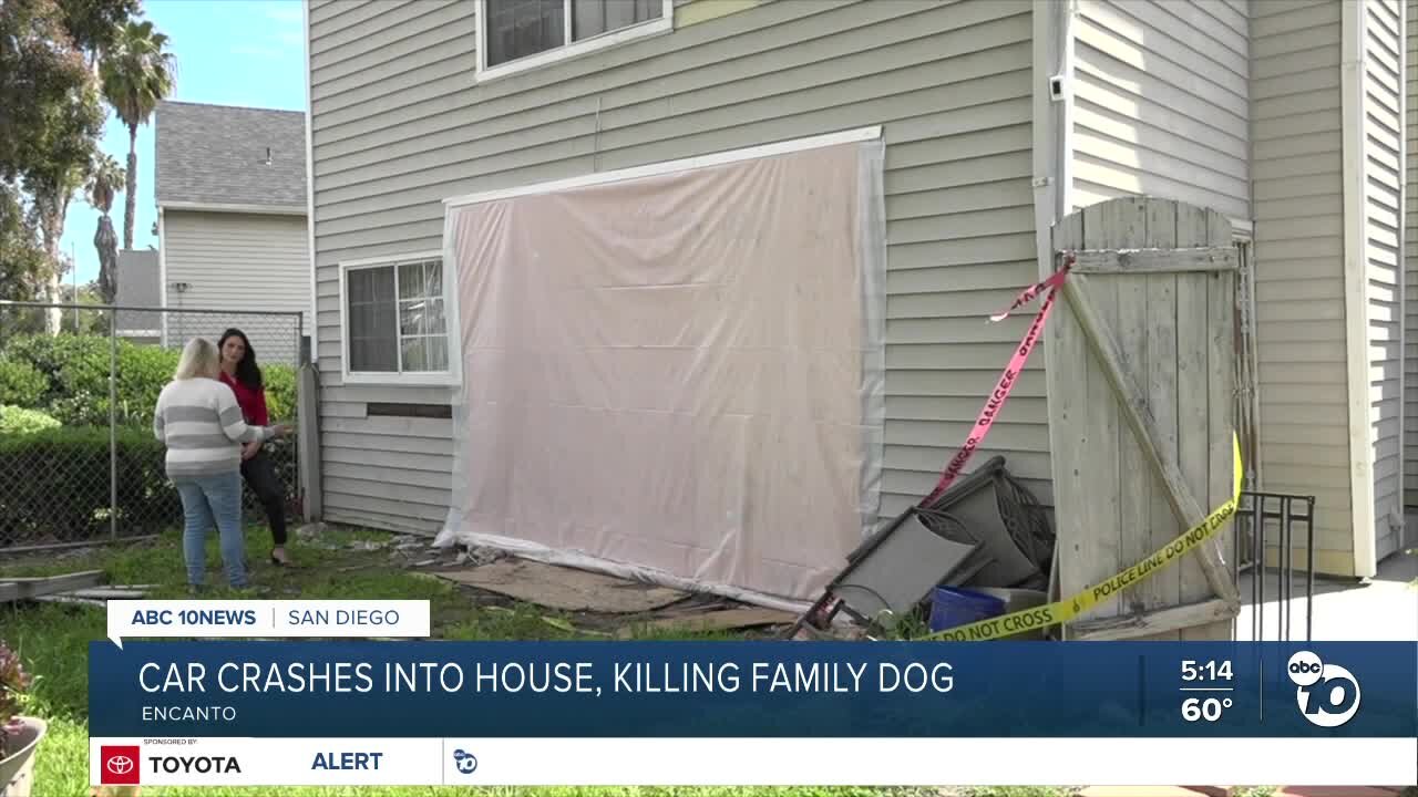 San Diego family displaced after car crashes into home, kills dog