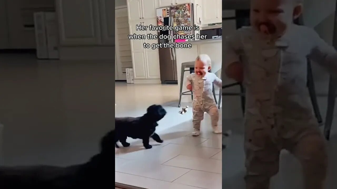 Cute baby and puppy dog play with each other live, #shorts #baby #funny #dog