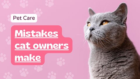 Mistakes cat owners make - Pet Care