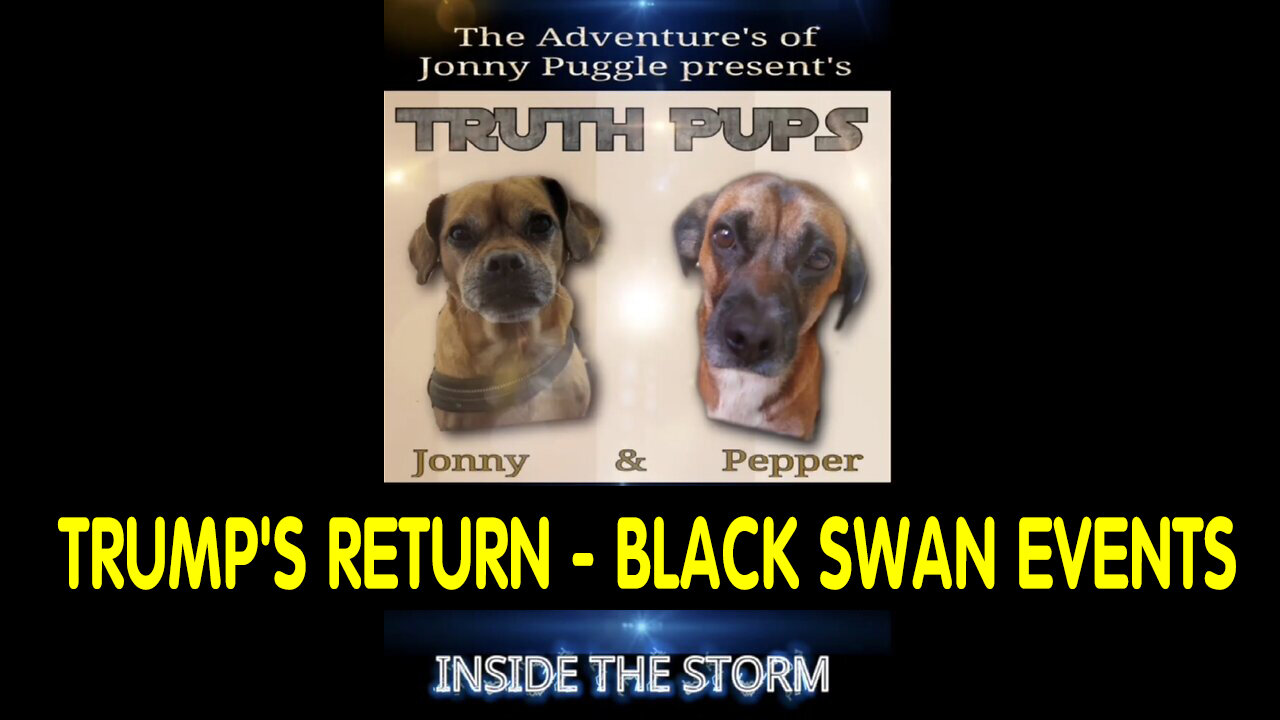 Trump's Return - Truth Pups News > Behind The Scenes _Maryland Bridge Black Swan Operations