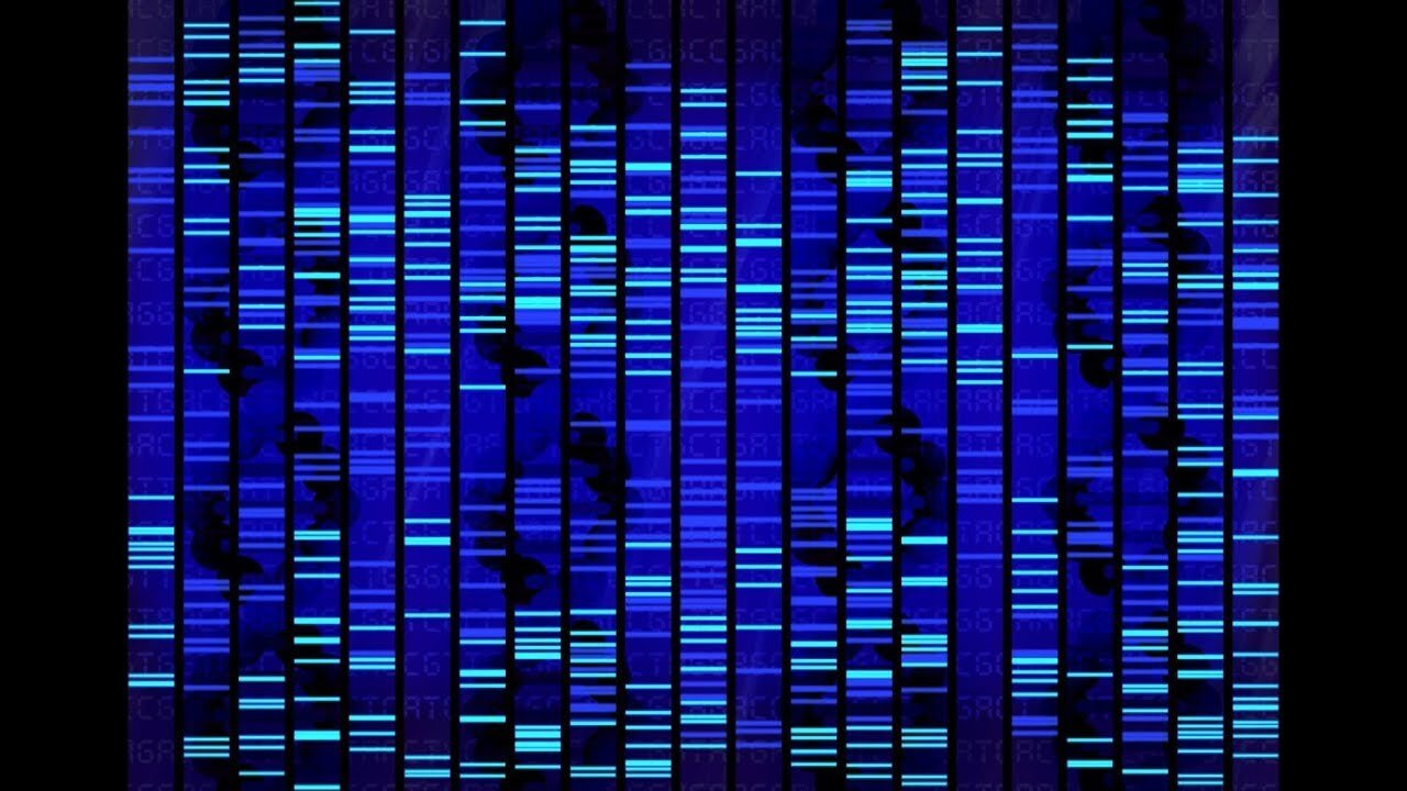 DNA and Human Beings Perceptions of a mined reality