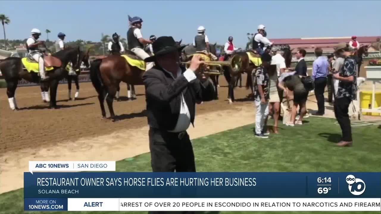 Restaurant Owner says flies from Del Mar Race Track stables infest her property every year