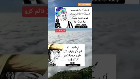 Amazing Facts For Health l World Info Point l #shorts #trending #viral #health #tips #facts #short