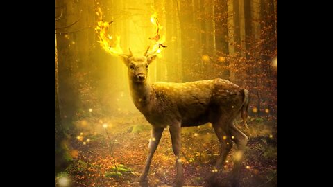 Библия с препратките-Битие 6 част Аудио Книга