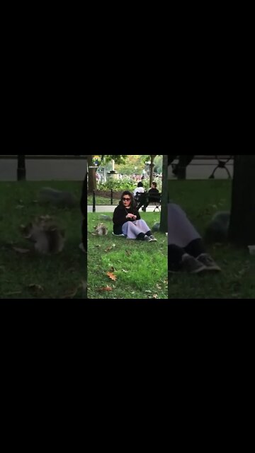 ۲۸ ژوئیهٔ ۲۰۲۲