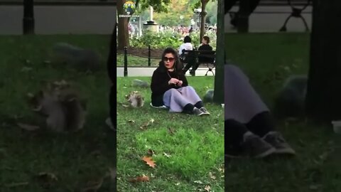 ۲۸ ژوئیهٔ ۲۰۲۲