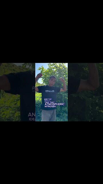 Benefits of Black Locusts In Your Garden! #gardening #homestead #healing #organicfarming