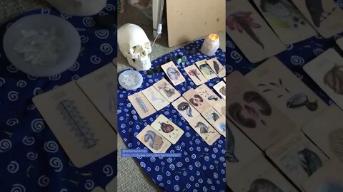 Tarot Reading on Ukraine