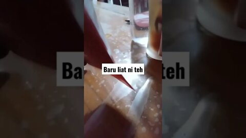 teh celup baru ya ? #shorts #shortvideo #viral
