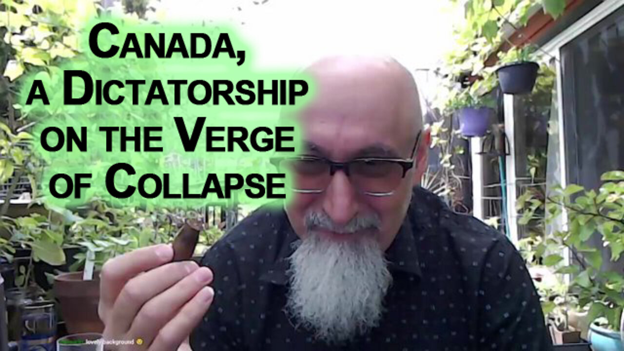 Update From Canada, a Dictatorship on the Verge of Collapse [ASMR]