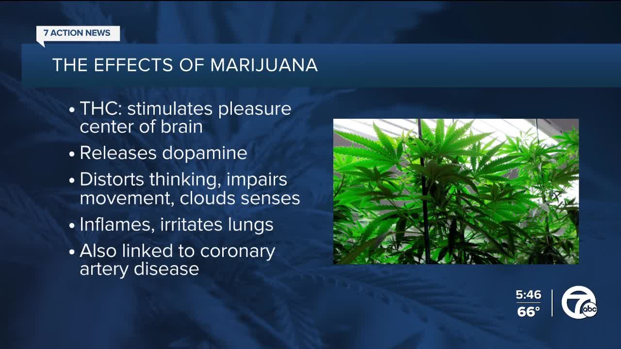 On 4/20, some medical experts urge caution on recreational marijuana use