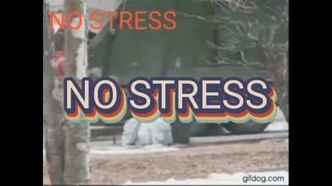 ZAP: NO STRESS