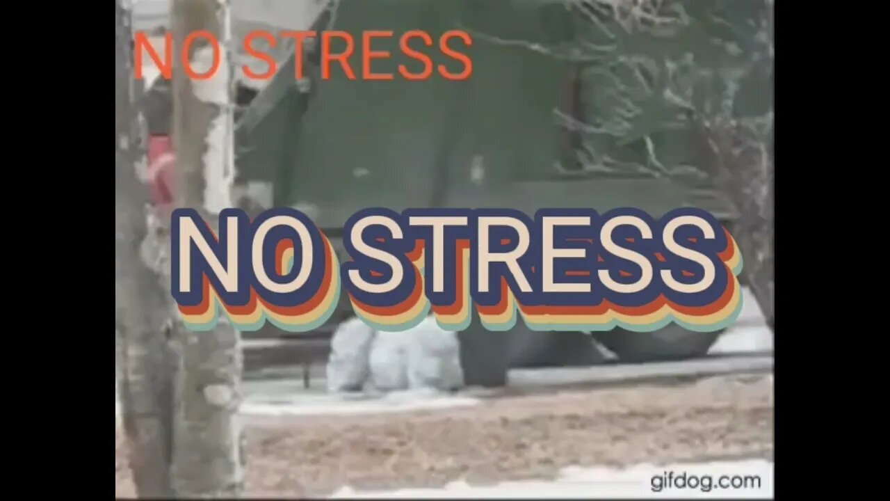 ZAP: NO STRESS
