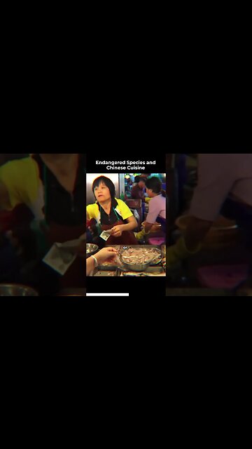 Endangered species and chinese cuisine