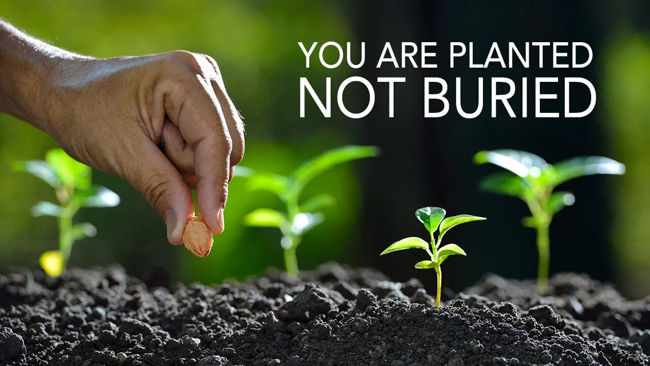 Planted, Not Buried